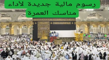 أسعار العمرة الجديدة تصريحات واضحة مع غرامة مالية كبيرة للمخالفين